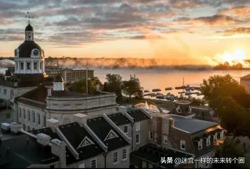 新西兰8所大学，居然都是宝藏大学