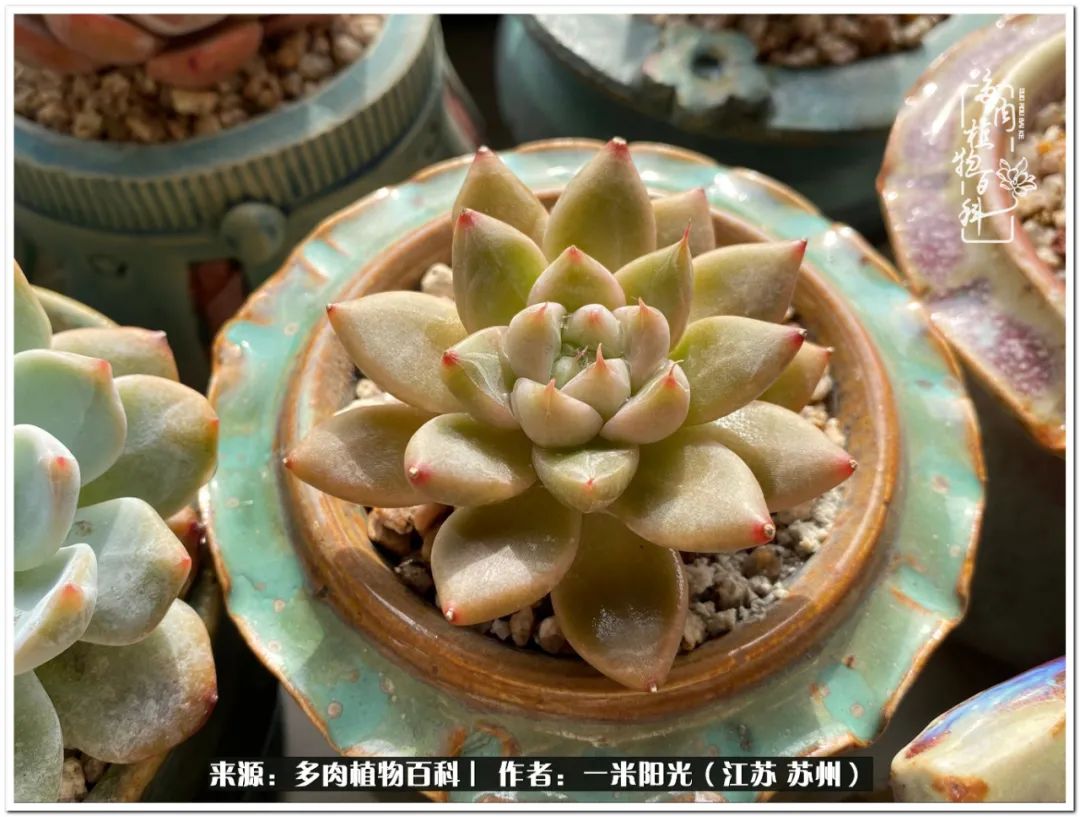 幸福就是珍惜当下所拥有的,珍惜当下所拥有的才是幸福的