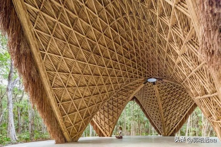 钢、竹、藤在混凝土中作钢筋的比较研究：拉伸和弯曲特性