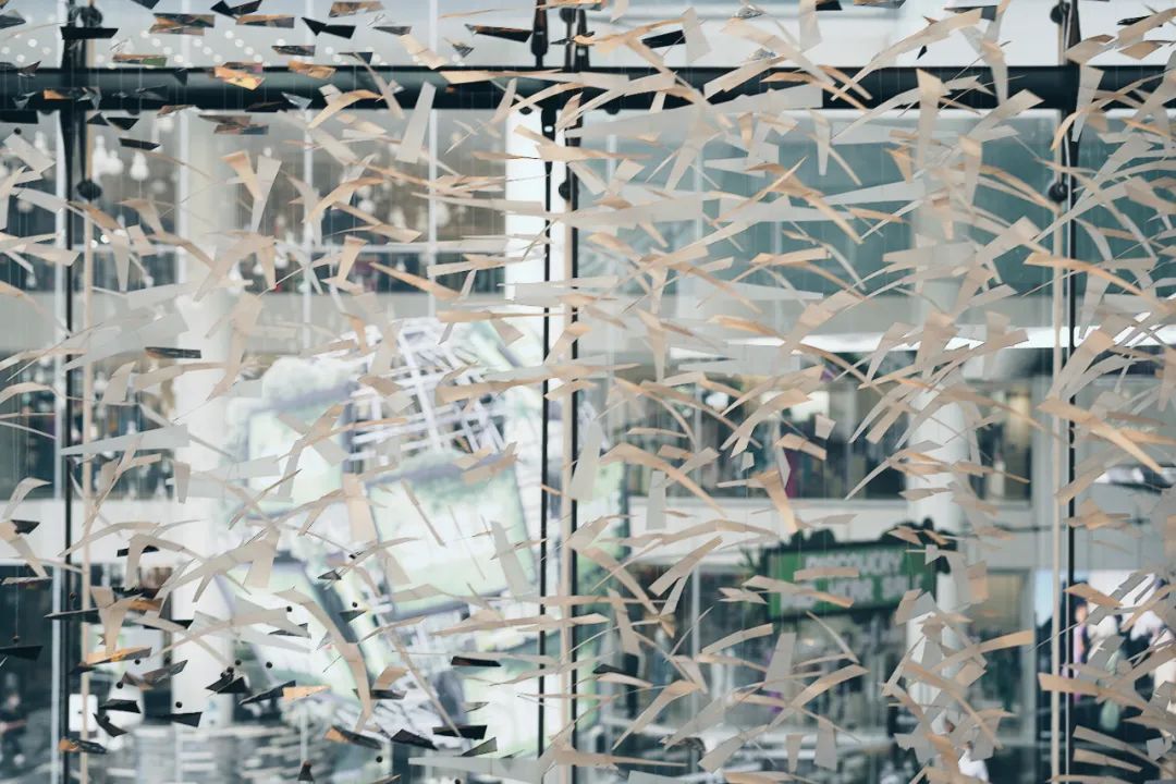 谁懂啊,泰国也太好逛了!