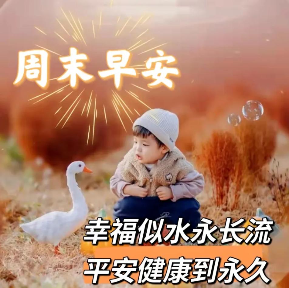 九月早上祝福,九月九早上好的祝福视频