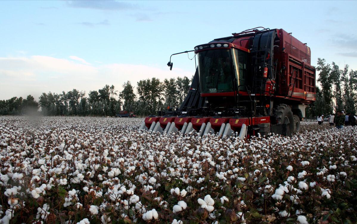 美国棉花价格每公斤多少人民币,美国棉花一包多少公斤