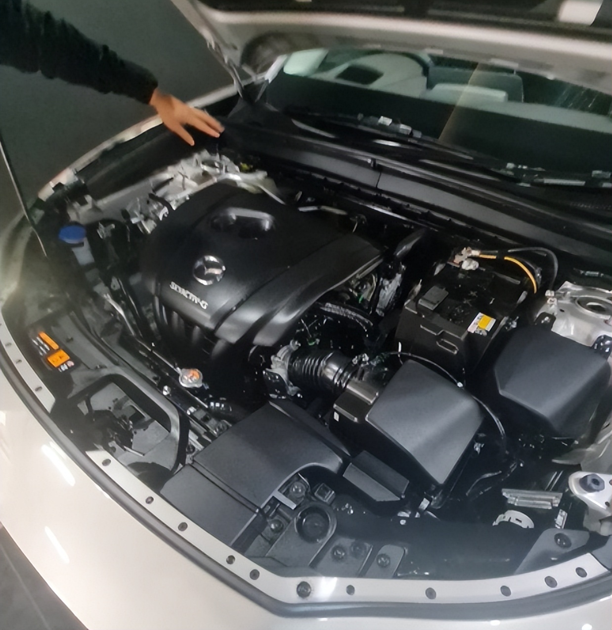 在泰国被骗经历,在泰国被骗的经历