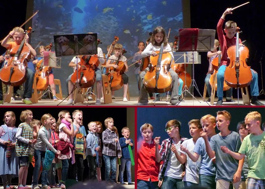 有关对华德福评价的视频,对华德福的评价