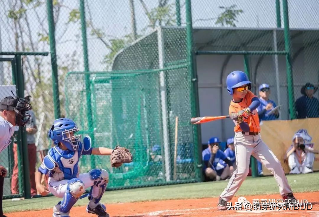 热门儿童兴趣班推荐,兴趣班盘点