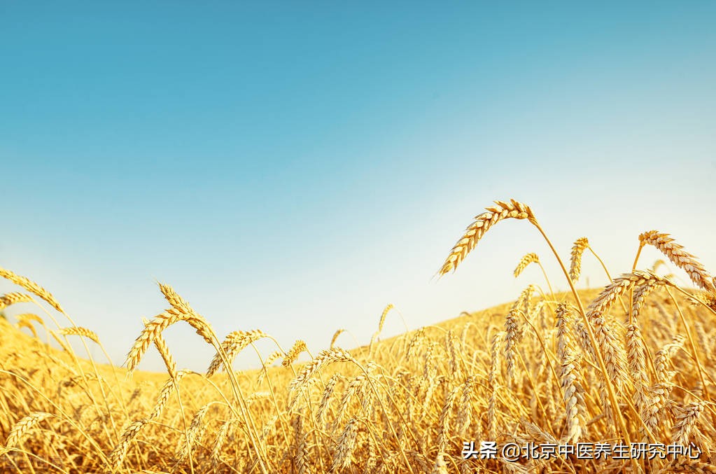 肠道养护,肠道护理的方法