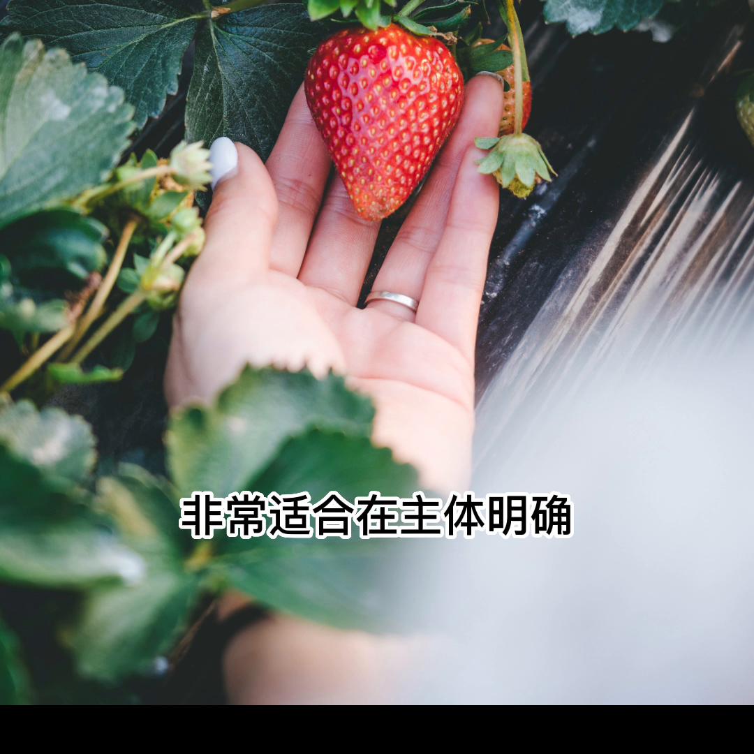 iphone怎么拍摄出单反的效果,让iphone原相机变单反的拍照技巧