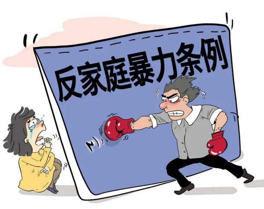 濠氬Щ瀹跺涵绯诲垪澶ф,濠氬Щ瀹跺涵閲嶅ぇ妗堜欢