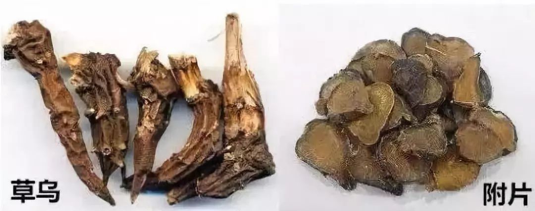 云南人吃有毒的蘑菇,云南人吃菌类中毒