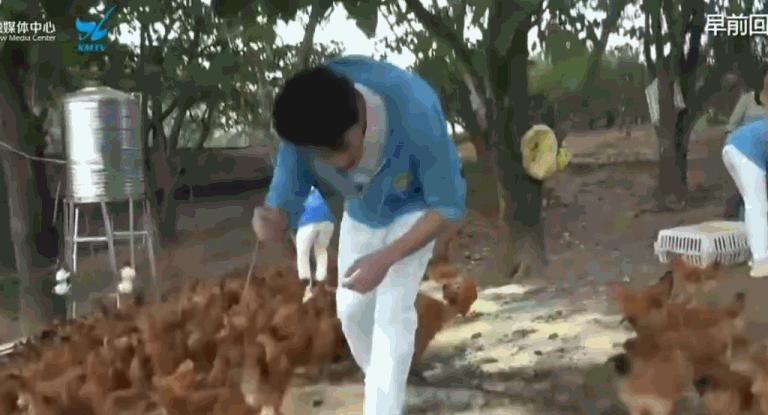 王鹤棣玩猜词游戏有多好笑,王鹤棣直播炸串有多好笑