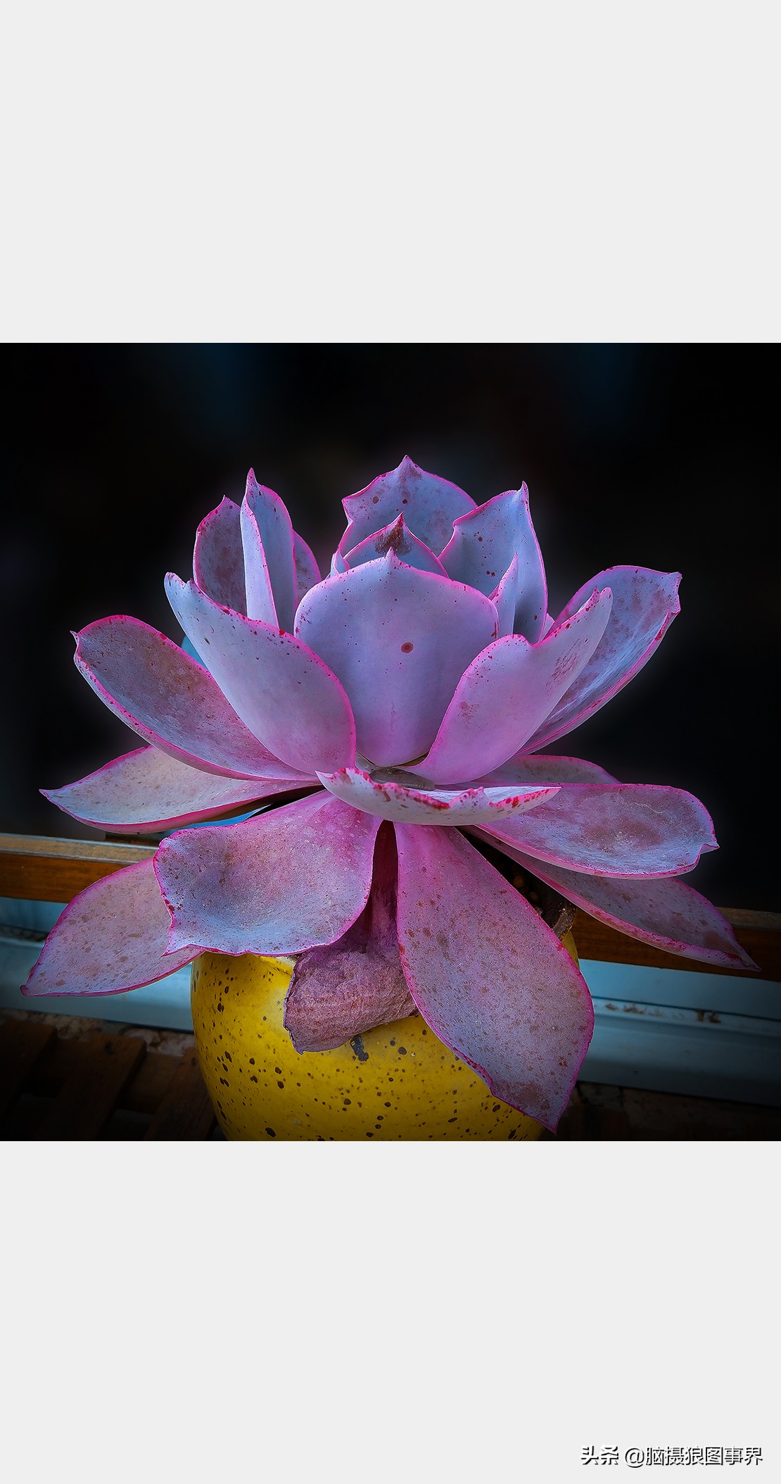 手机拍照不清晰怎么才能拍的好看,vivo手机拍照模糊怎样才能变清晰