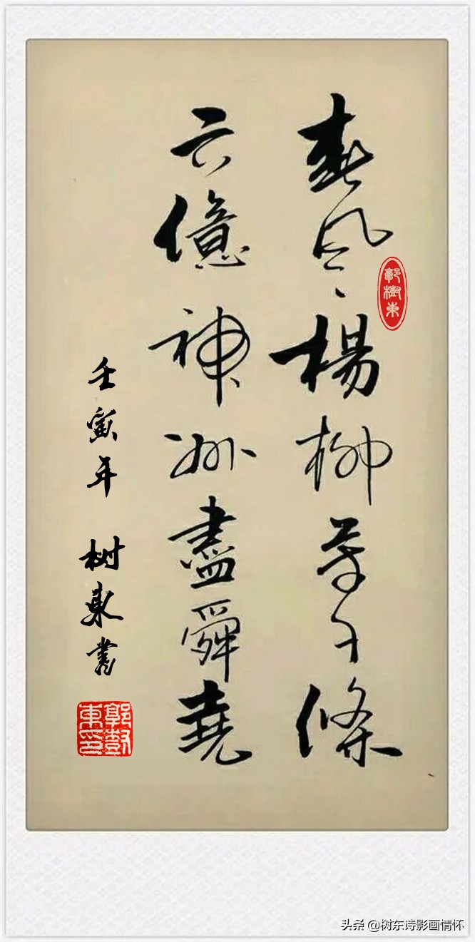 春风杨柳万千条,六亿神州尽舜尧,从咏柳中体会中华文化的魅力