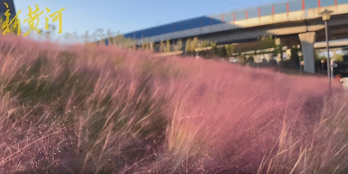 济南美景打卡地秋冬,济南冬天小众宝藏旅行地