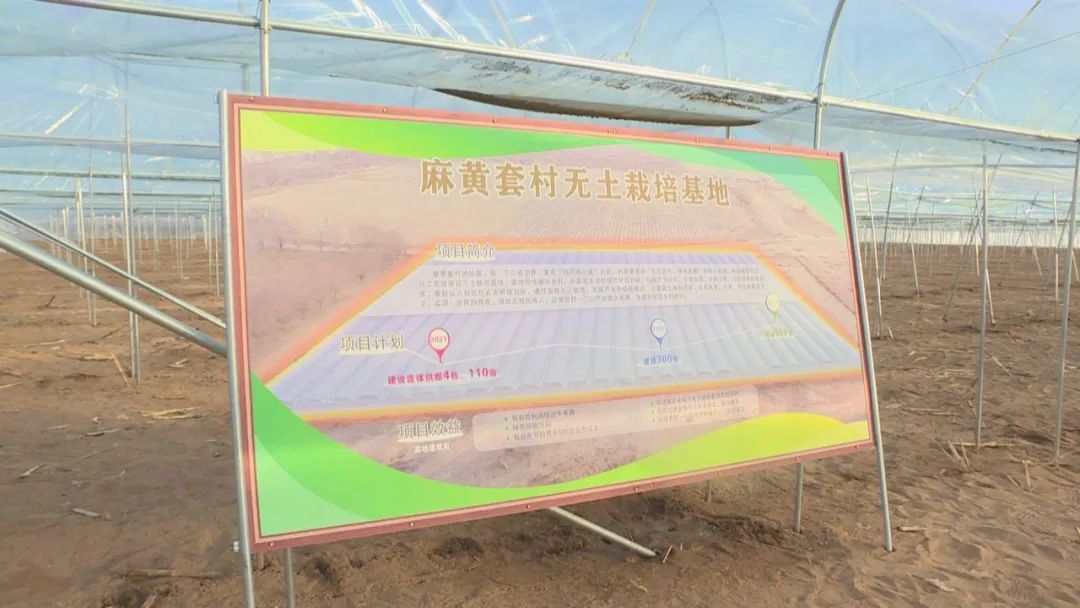 高质量发展看鄂尔多斯丨鄂托克前旗：无土栽培好“钱”景增产增效还节水