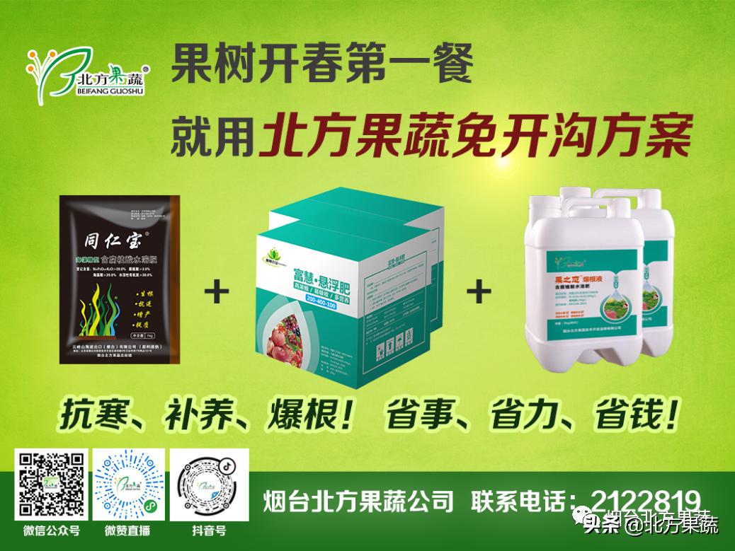 北方果蔬——日韩系梨花前用药安排