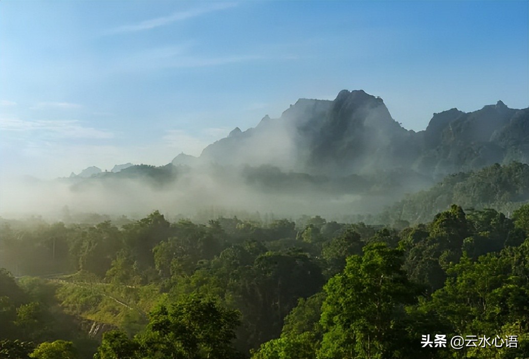 杨万里的一首《风雨》，语言凝练，洋溢着浓浓的生活气息