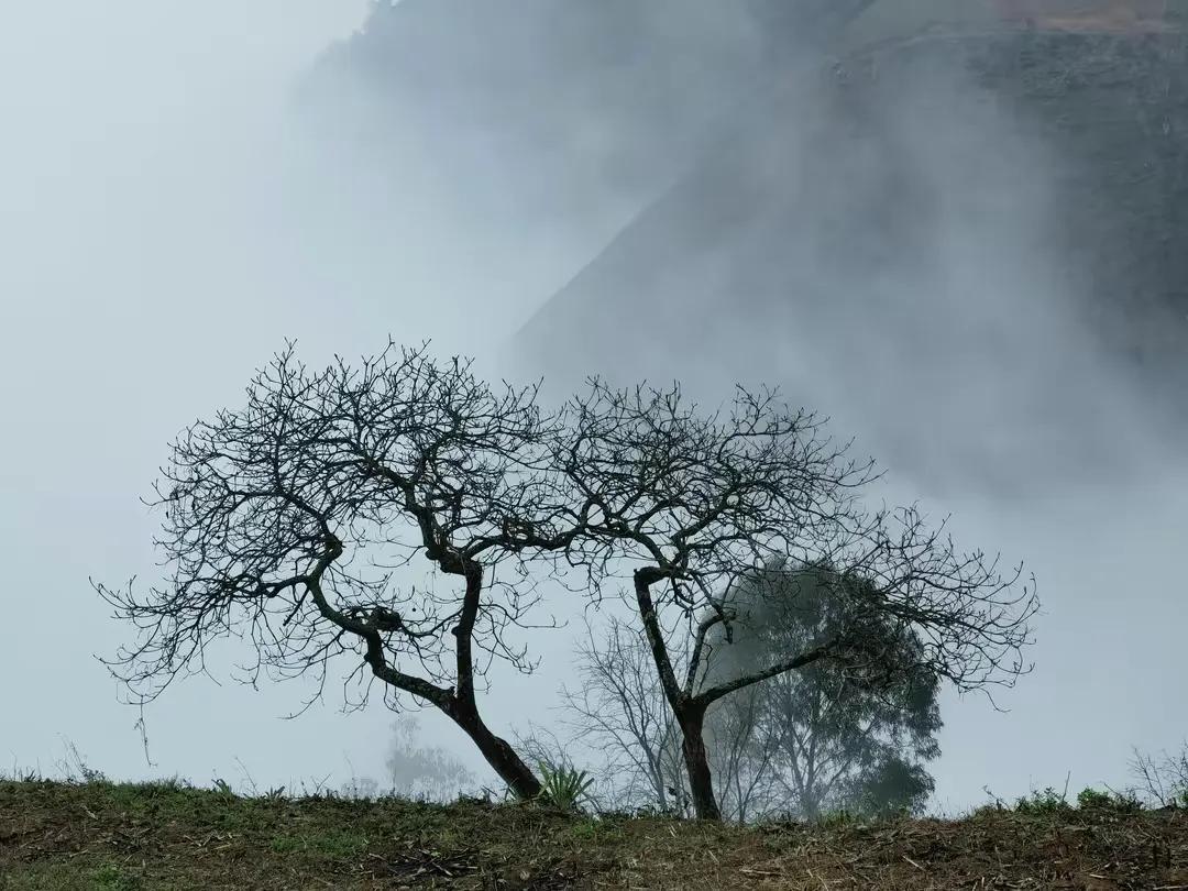 手拍世界（手机摄影平台）-第888期获奖作者创作体会（第889期）