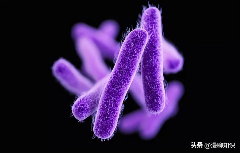 马传染病的传播,马传染性子宫炎