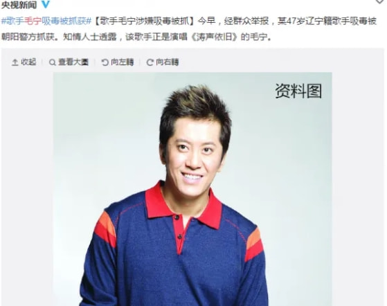 毛宁现在有多少钱,毛宁最近还有演出吗