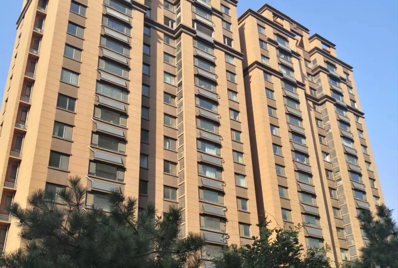 雪纳瑞和猫相处,雪纳瑞能和狸花猫一起养吗