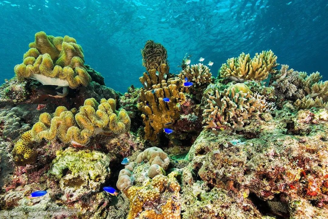 海南最神奇的一个地方,海南有哪些神仙景点