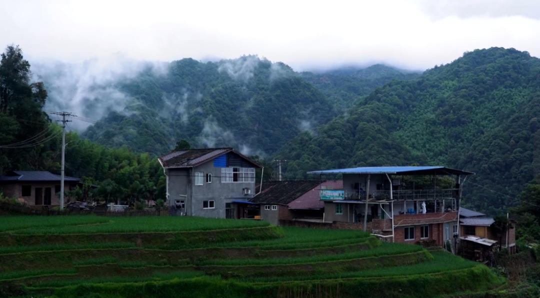 关于顶流如何崛起,曾经的顶流真的过时了吗
