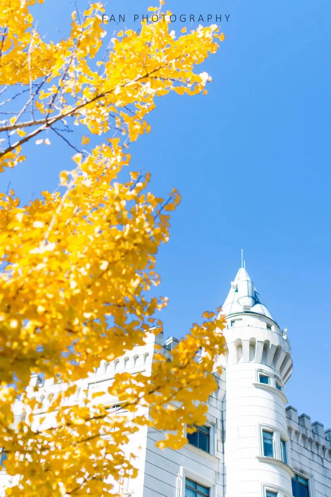 中国唯一用欧元买菜的江南小城,青田市民买菜用欧元