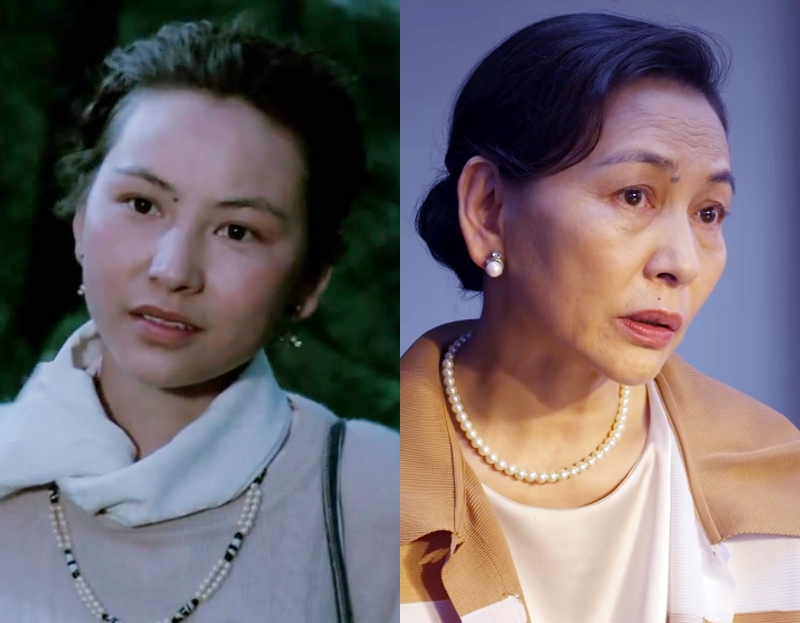 平凡之路客串女明星名字,平凡之路主演名单