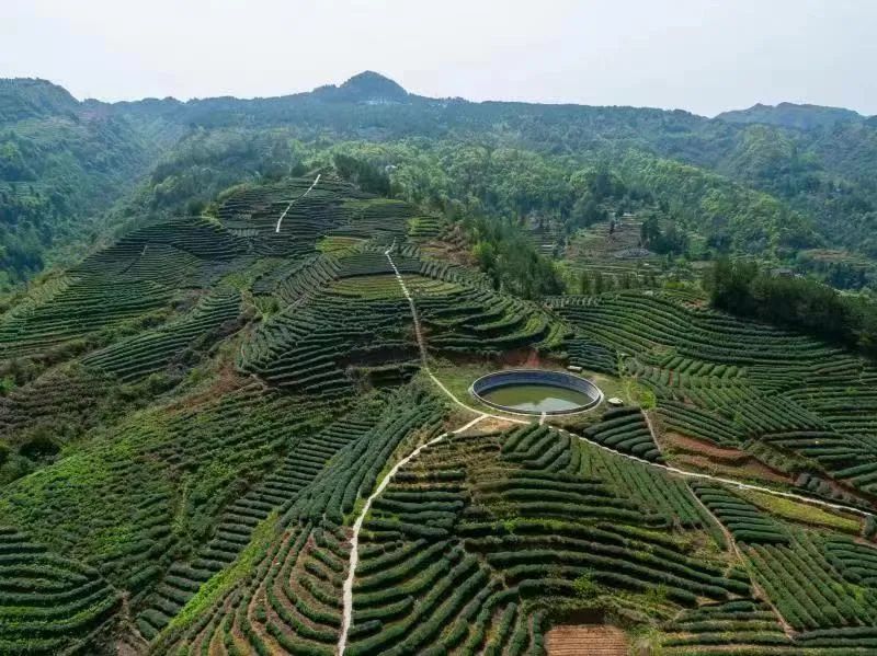 巴中经济发展基本情况,巴中发展优势