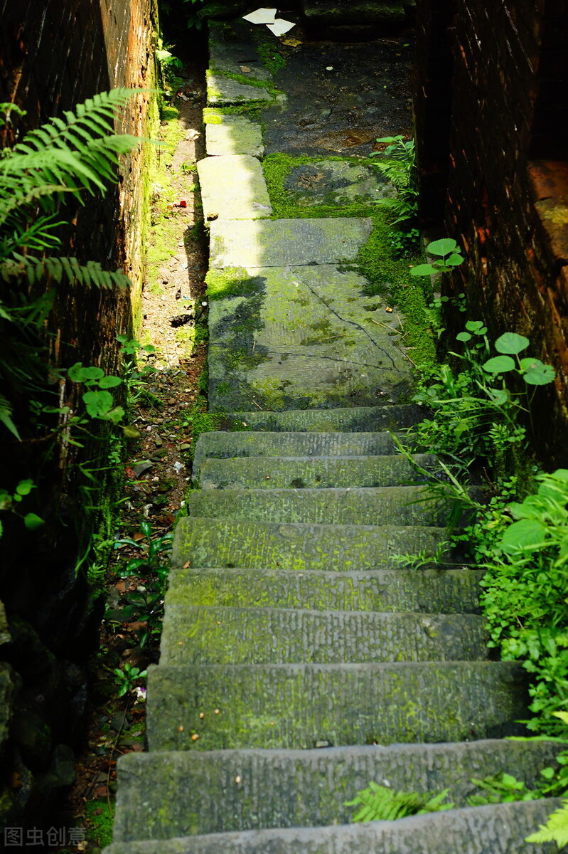 广西桂林人平均寿命是多少,平均寿命长寿的省份