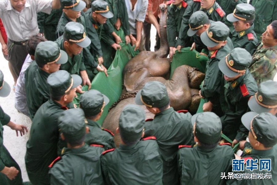 cop15大会高清图,cop15第二阶段会议有哪些人出席