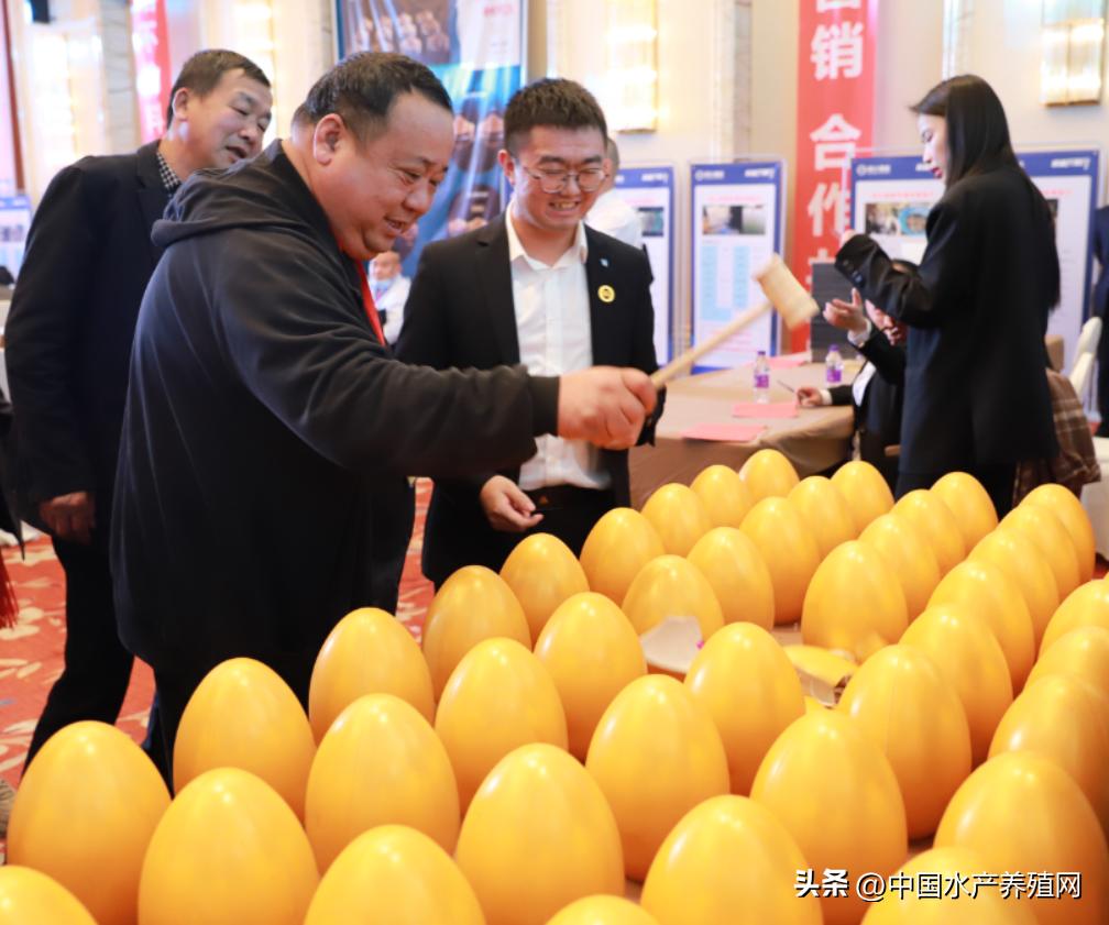 通威10000亿订单,通威股份获千亿订单