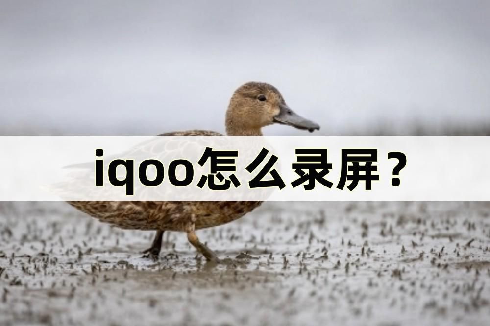 iqoou5录屏可以插耳机吗,iqoo通知栏怎么把录屏放进去