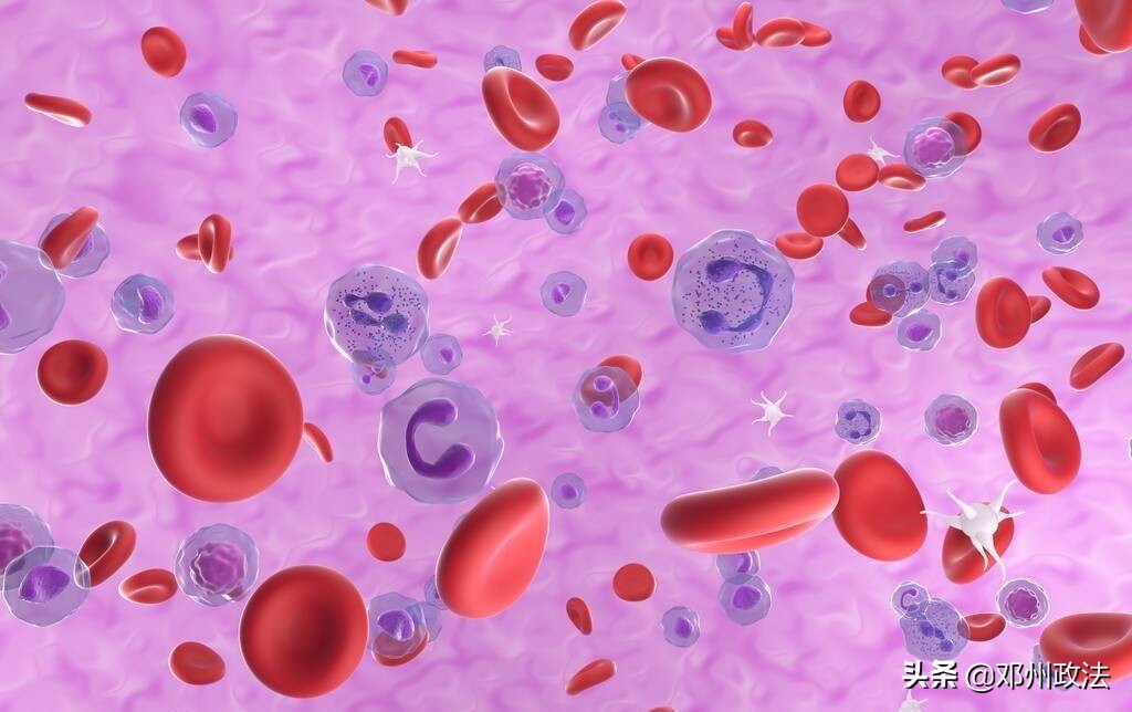 白蛋白可以包治百病，提高免疫力吗？药师提醒：别再用错了