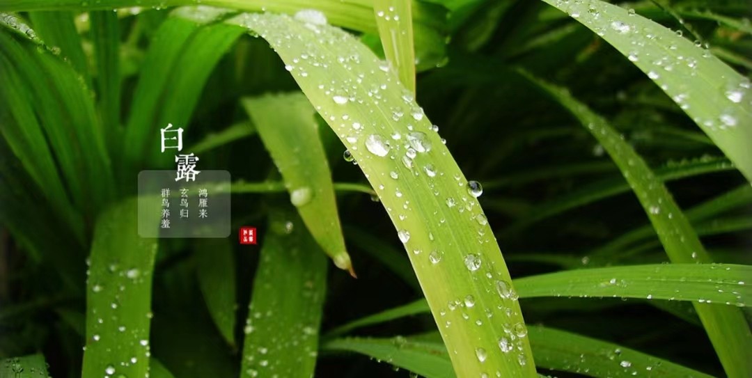 闰年闰月24节气怎么算出来的,二十四节气是什么人发明的