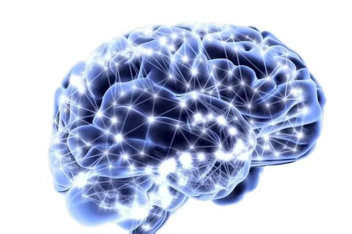 深度信念网络和皮层算法：监督分类的比较研究