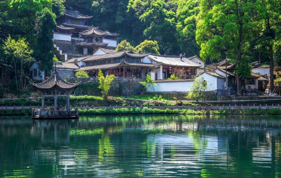 腾冲银杏秋色,腾冲银杏村四季景色