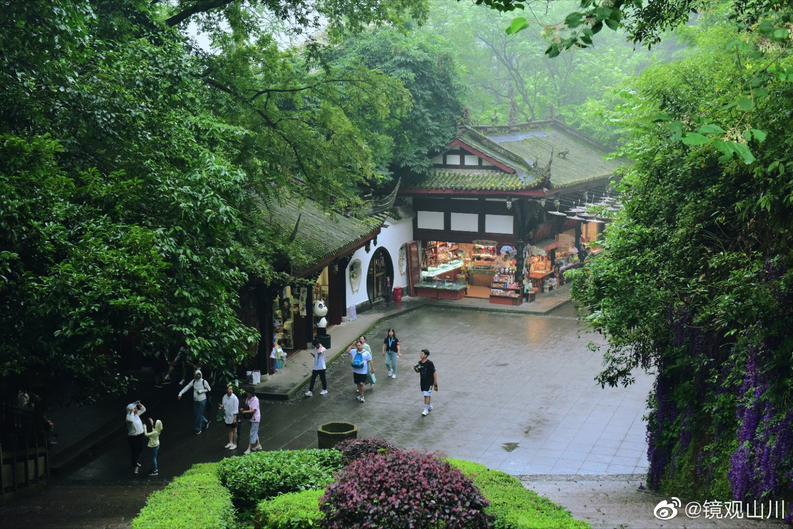 青城山夏季避暑两日游,青城山游玩攻略夏季