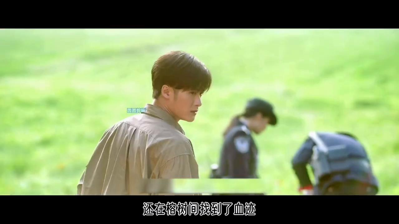 寻迹第5集完整版,寻迹第六集