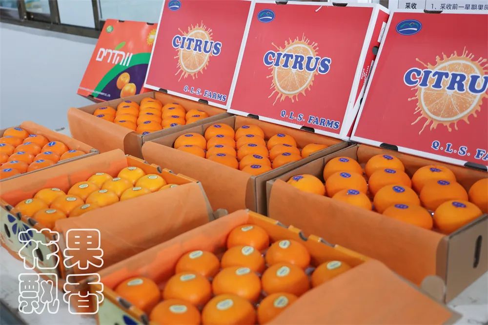 从0.6元到4元，优质优价能否引领农民种好果？