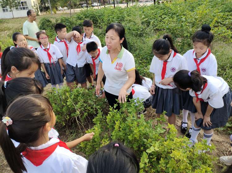 劳动实践促成长心得,劳动助成长实践促发展记录表