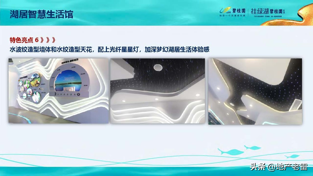 碧桂园精准发展方案,碧桂园的商品房改造方案