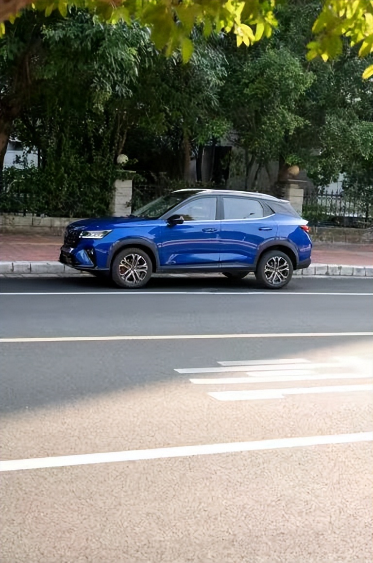 星驰觅食记，小院下午茶