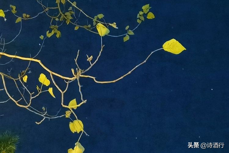 又入冬了还有遗憾吗,又到了瑟瑟发抖的季节