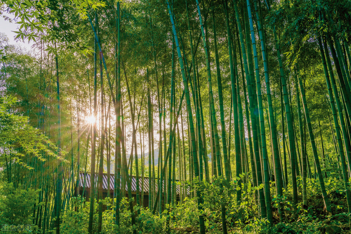 溧阳，这座低调了千百年的江南小城，怕是藏不住了