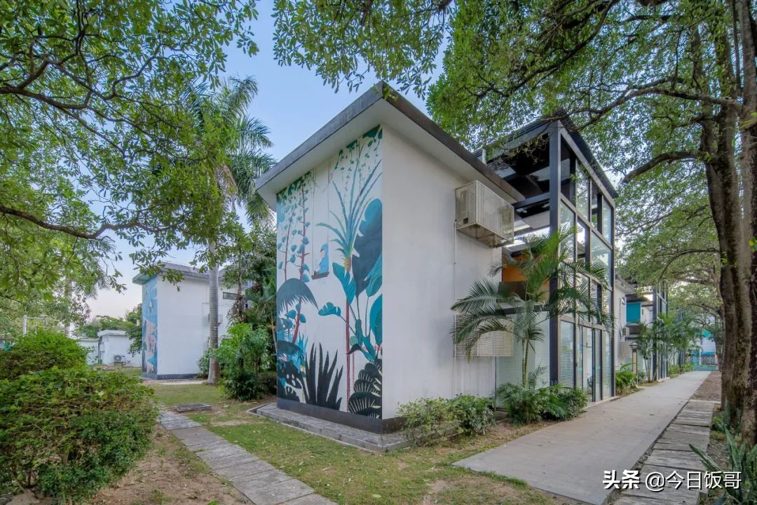 深圳海边五一亲子游赶海推荐,清明海边深圳攻略