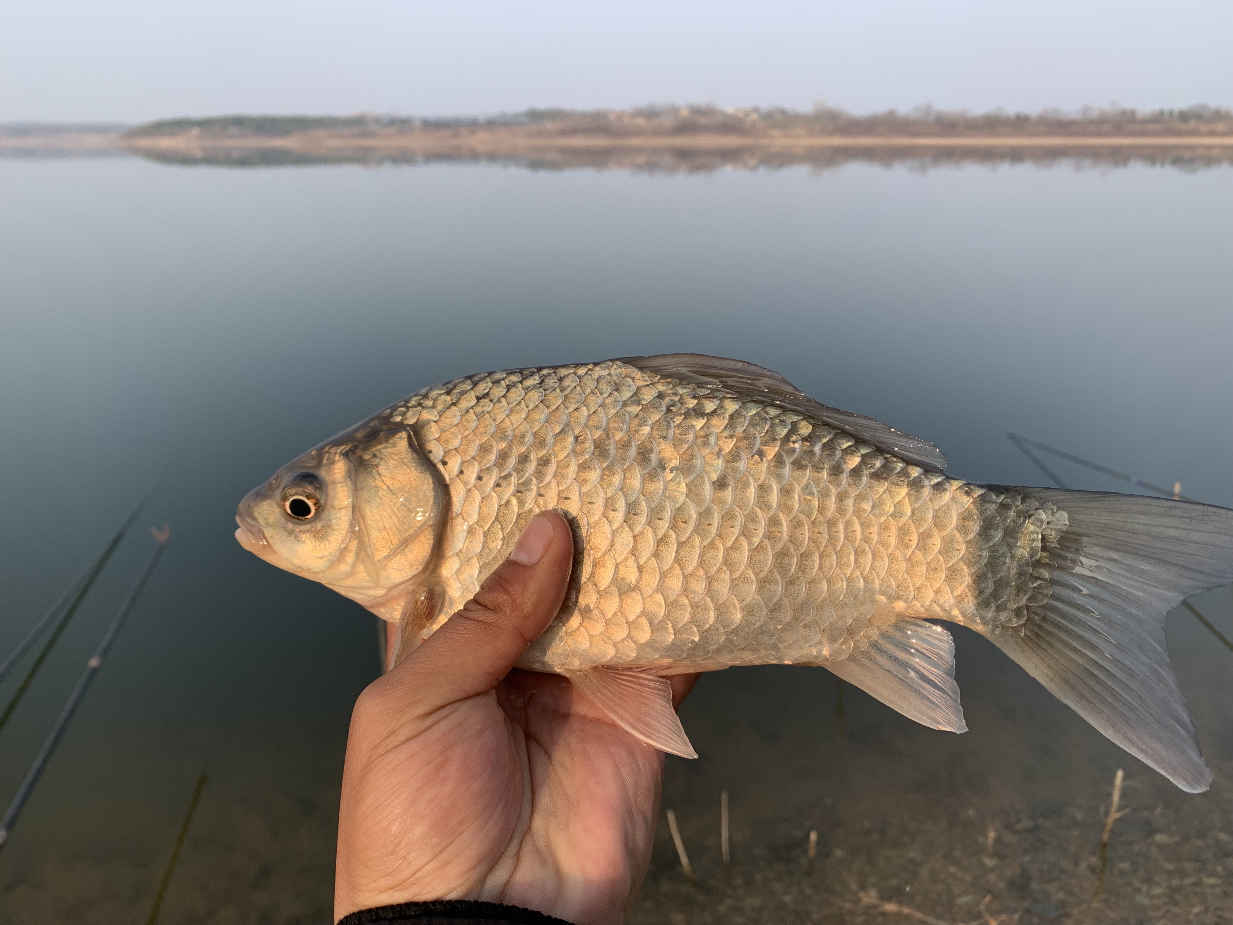 七星漂看不懂漂相怎么办,七星漂看不清怎么办