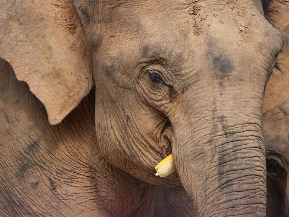 有一种叫云南的生活,有一种生活叫云南的生活