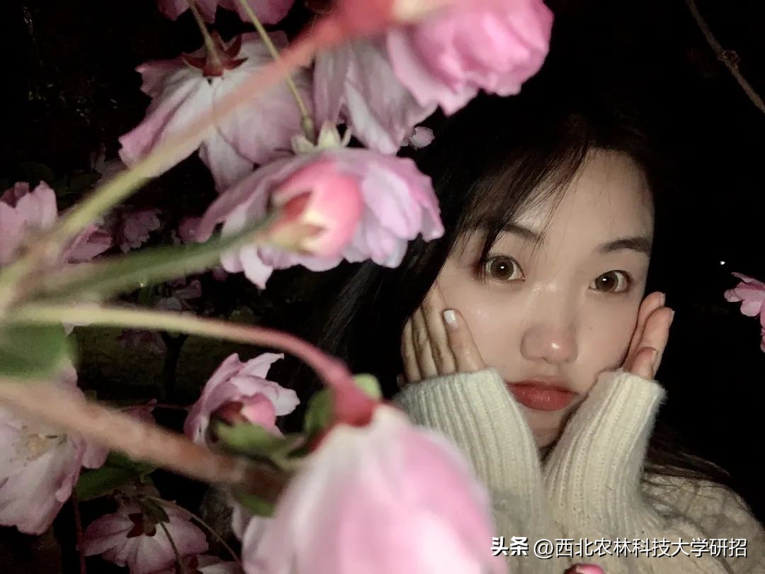 【“研”途风景|第6期】突然发现的瞬间