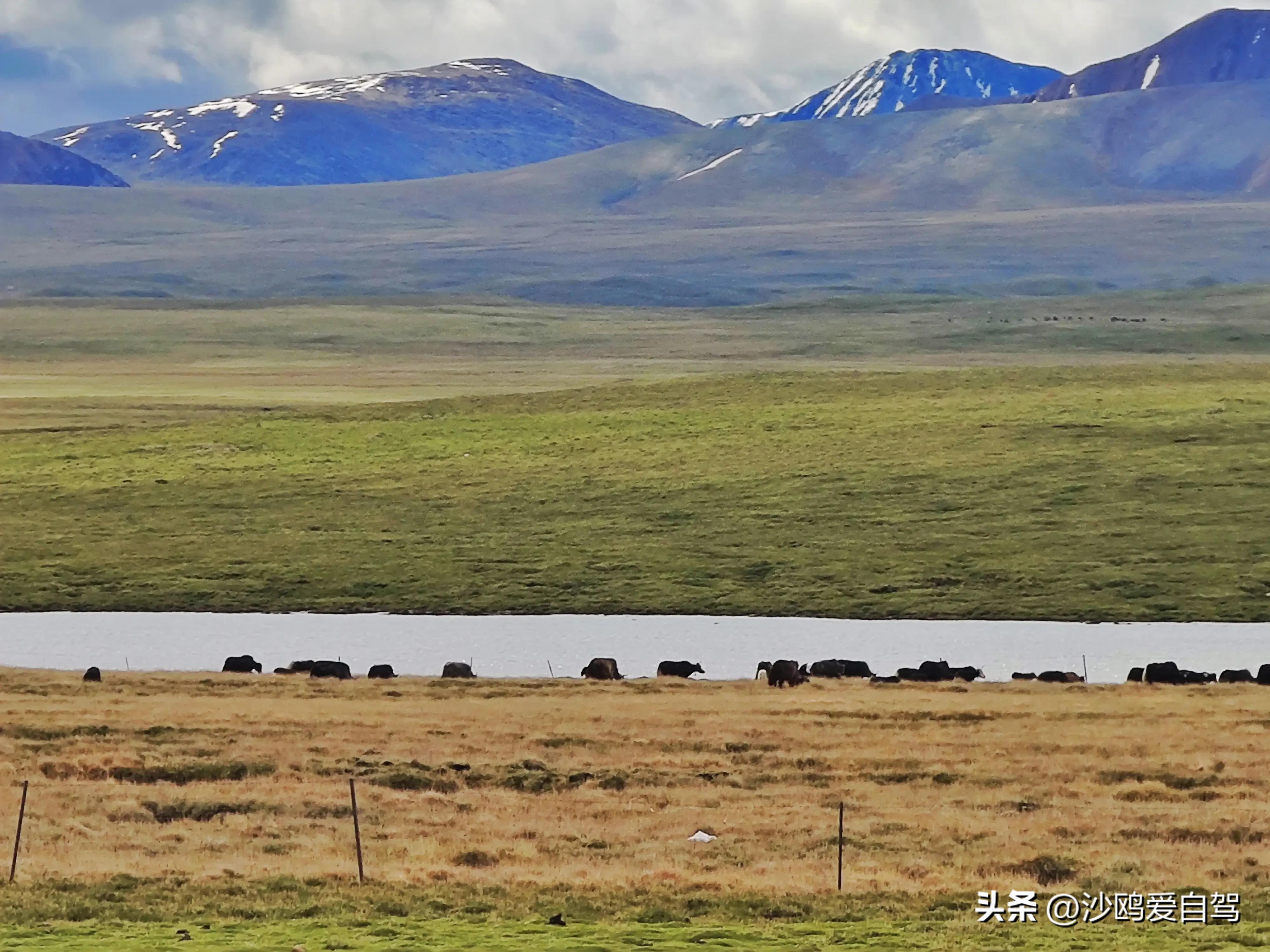 西藏自驾游三大圣湖,自驾西藏行摄之旅米堆冰川